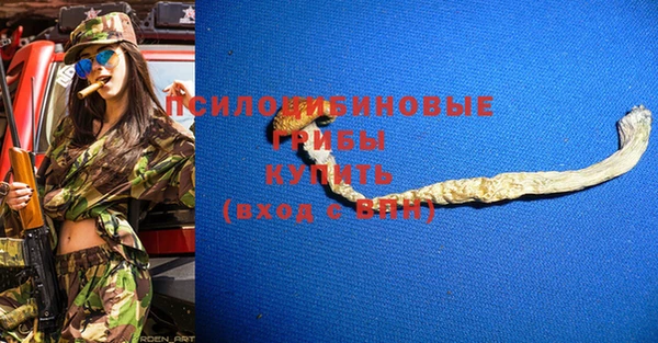 дмт Приозерск